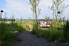 Privater Naturgarten mit Kiesweg, Gräsern und Zierlauch, dahinter ein Gartensofa mit Weitblick über die Landschaft