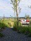 Privater Naturgarten mit Kiesweg, Gräsern und Zierlauch, dahinter ein Gartensofa mit Weitblick über die Landschaft